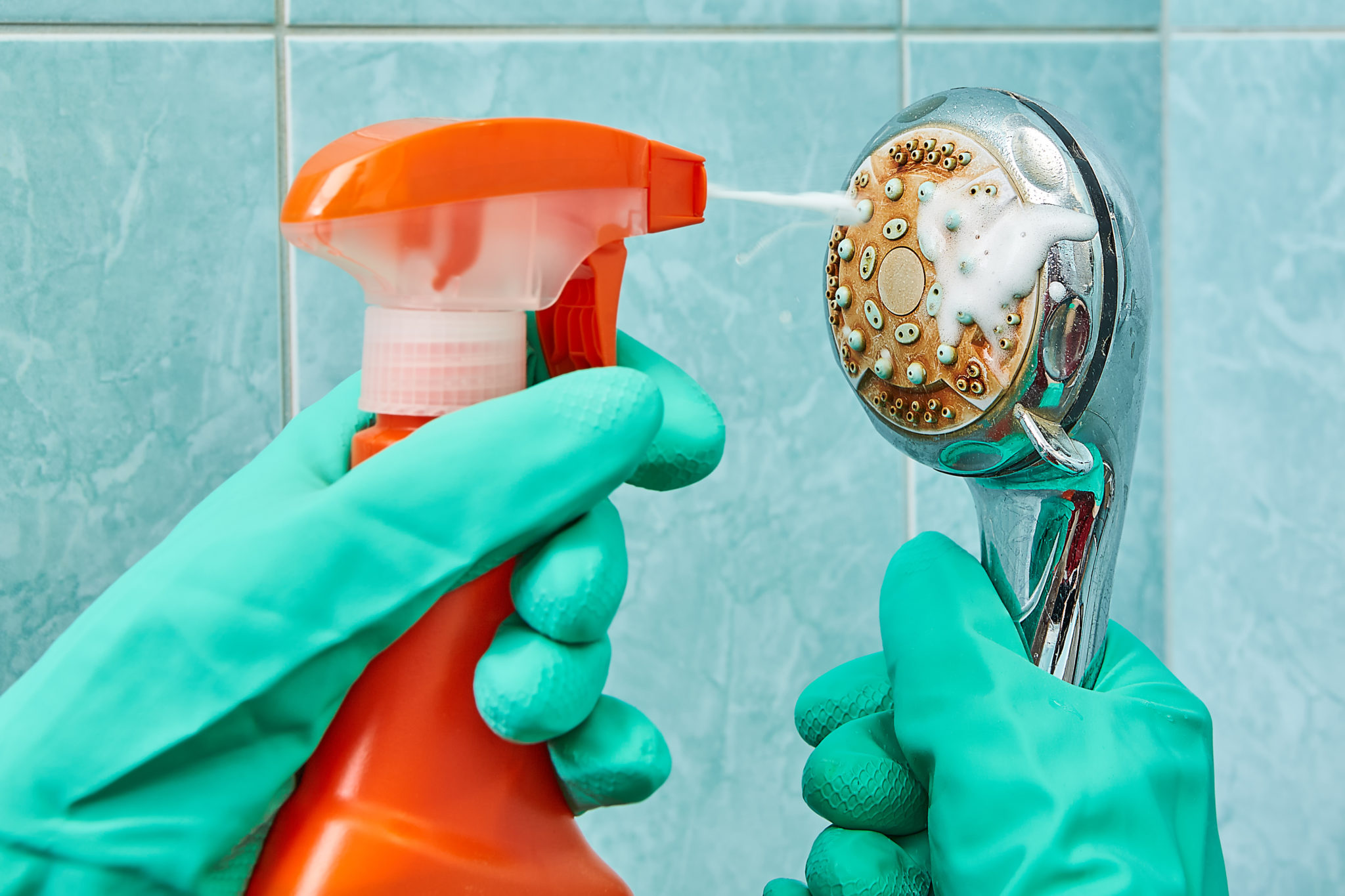 how to clean a shower head with store-bought cleaners