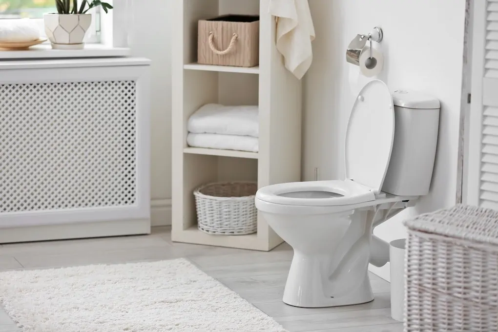 new toilet in home bathroom; how to install a toilet