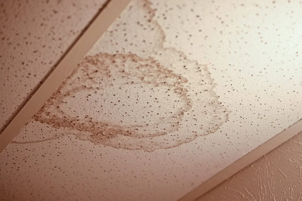 Ceiling Tile With a Water Stain on it; plumbing basics