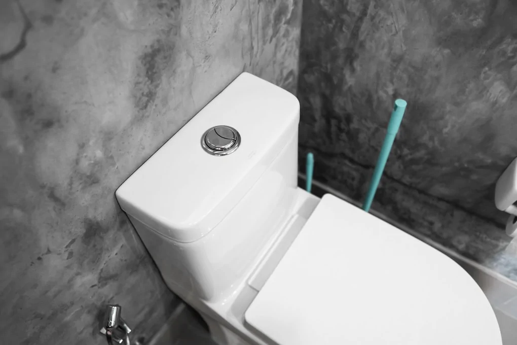 Close up on a dual flush toilet button for cleaning a toilet; types of toilets