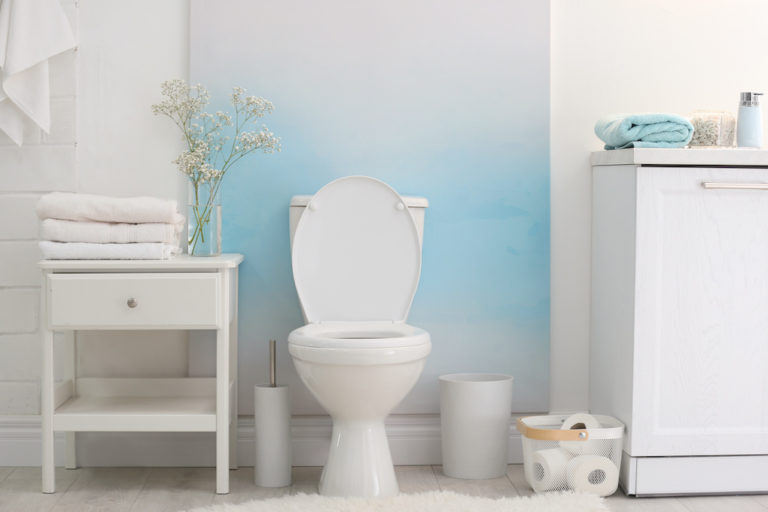 Modern single piece toilet bowl in stylish bathroom interior; types of toilets