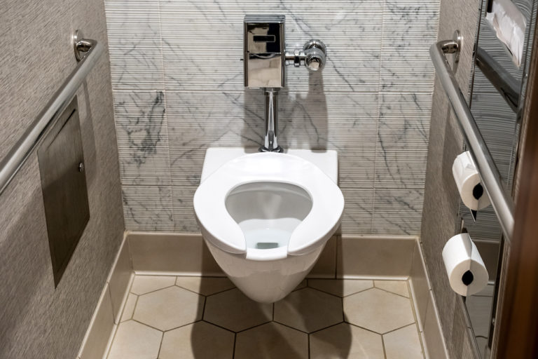 touchless flush toilet in public restroom; types of toilets