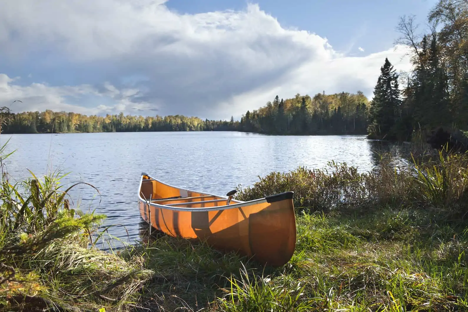 canoe on the shore of white bear lake