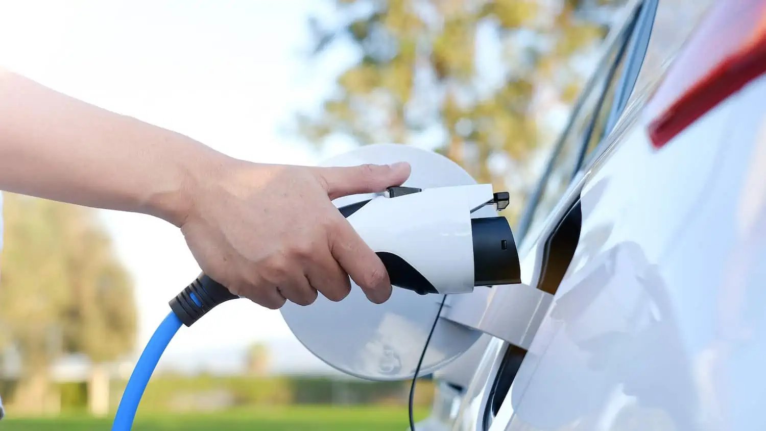 Electric car or ev is charging at station . man use the white power cable and plug on nature background. eco and clean energy concept with the mobile phone smart technology. zero gas and no transmission.